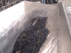 Offloading Bin